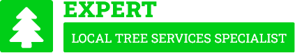 Tauranga Arborist - Tree Removal Tauranga